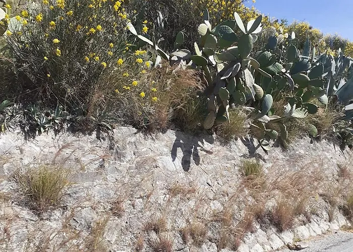 Apartamento 6 Kilometri Dal Mare E Dall'aspromonte Visita Canyon E Castello