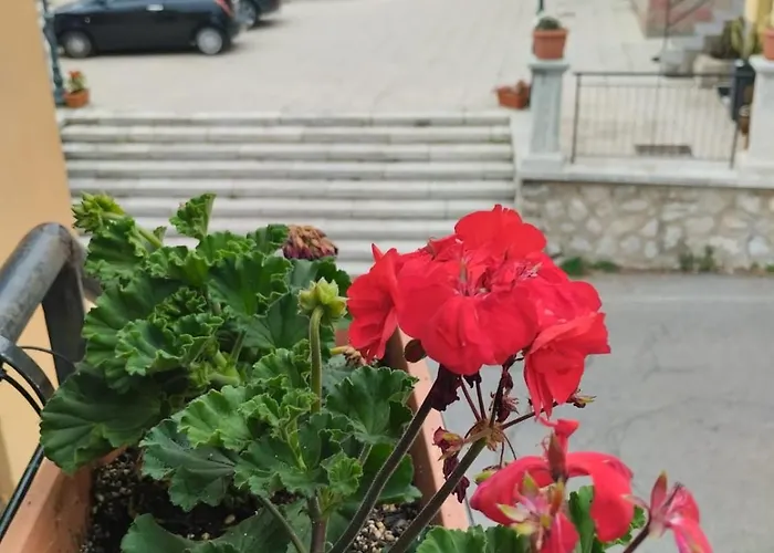 6 Kilometri Dal Mare E Dall'aspromonte Visita Canyon E Castello